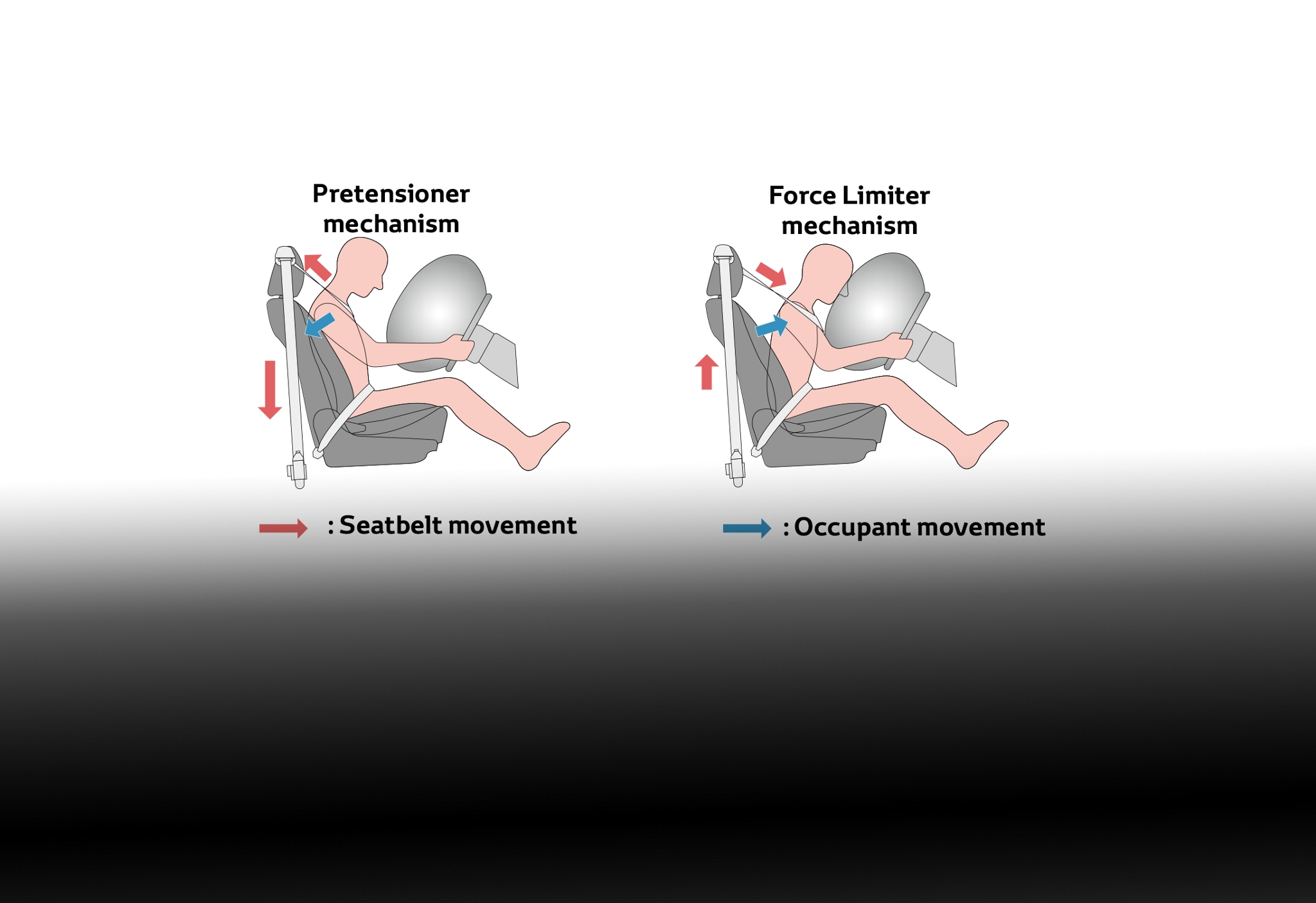3-Point Seatbelts With ELR