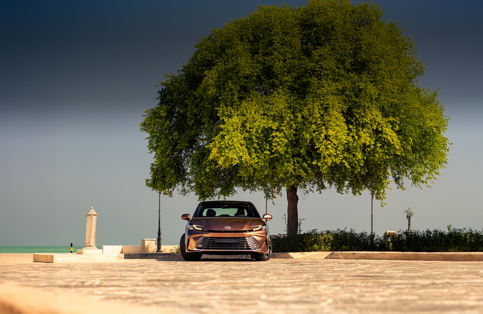 Book a Test Drive Banner