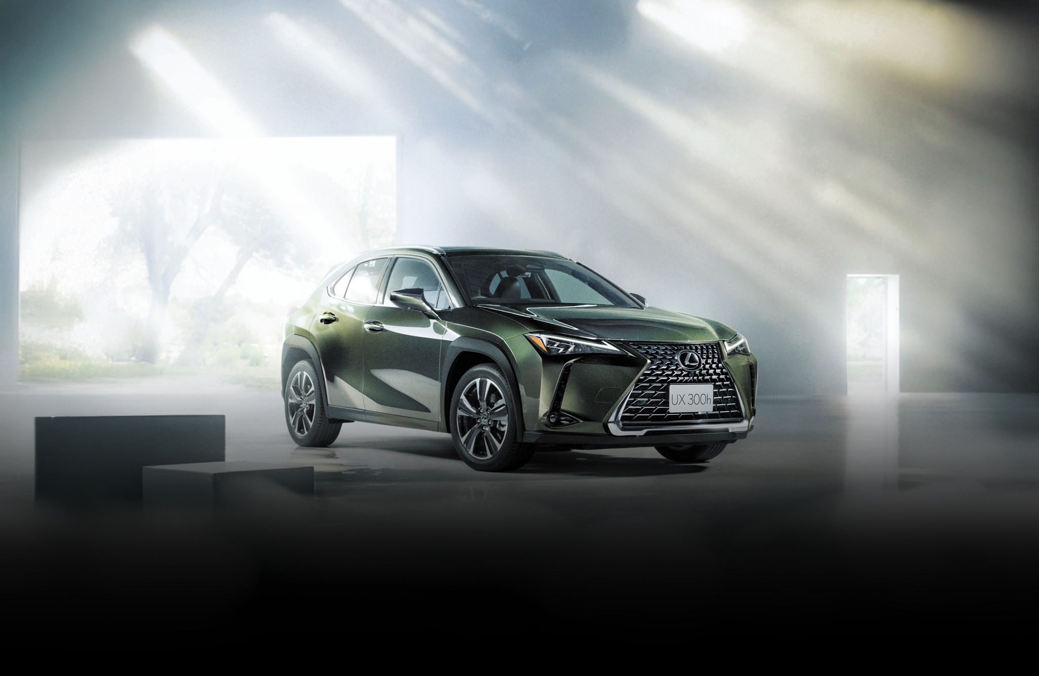 Vehicle Visuals media