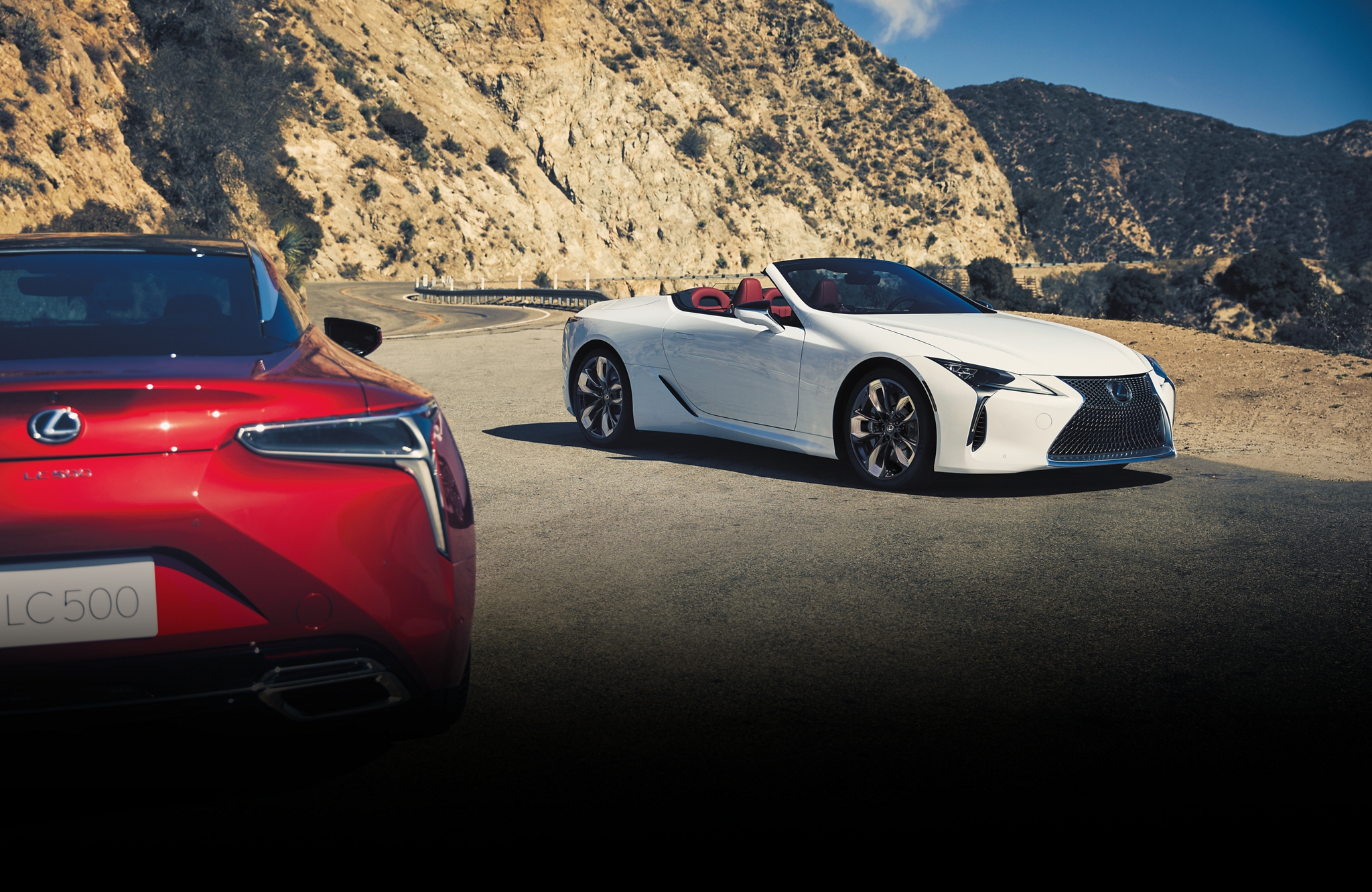 Vehicle Visuals media