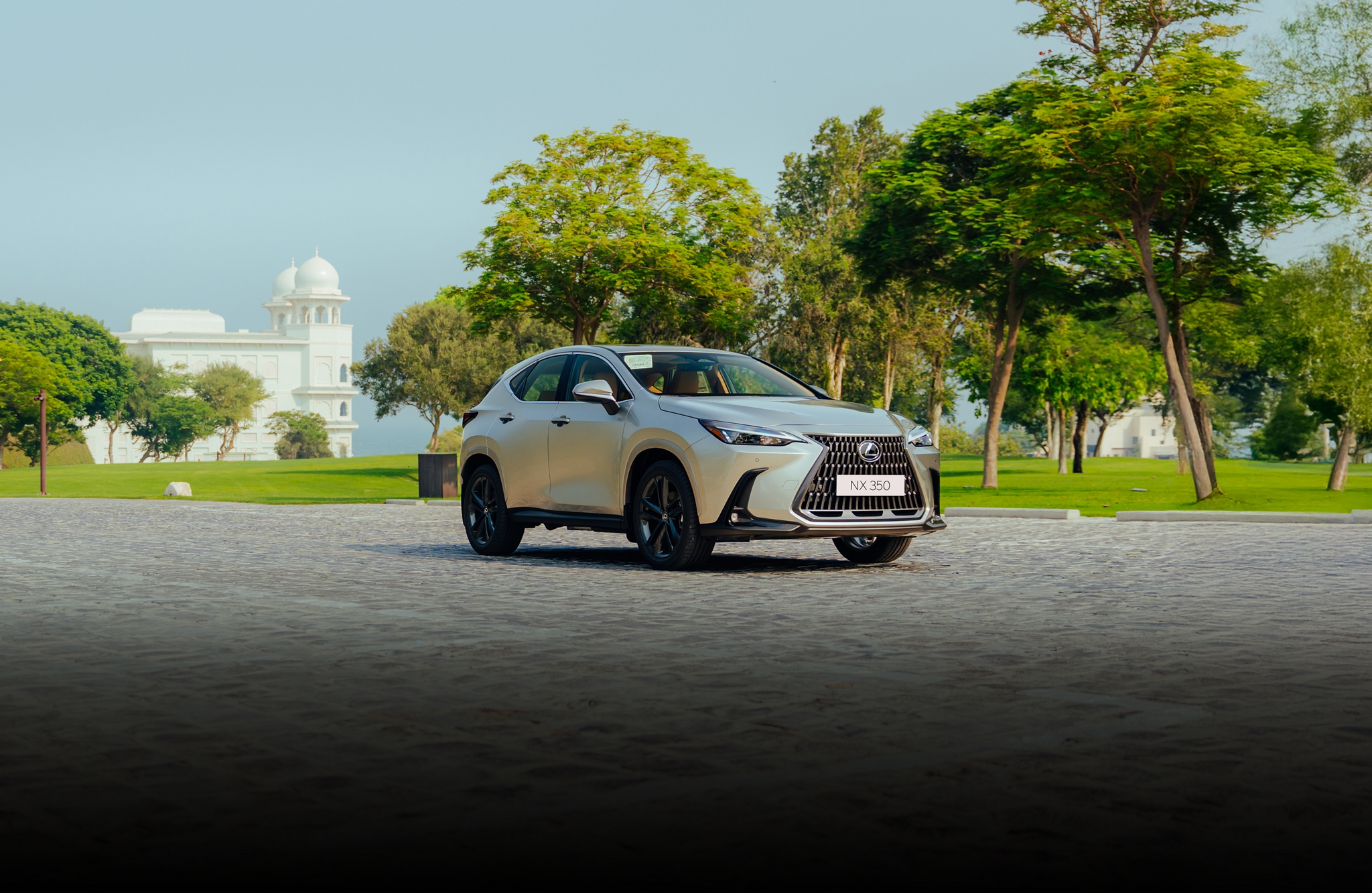 Vehicle Visuals media