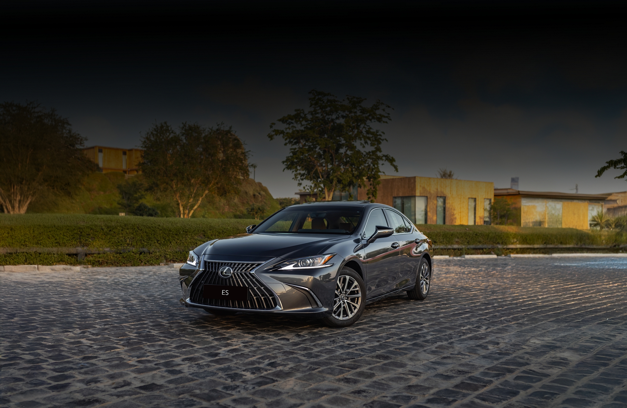 Book a Test Drive Banner