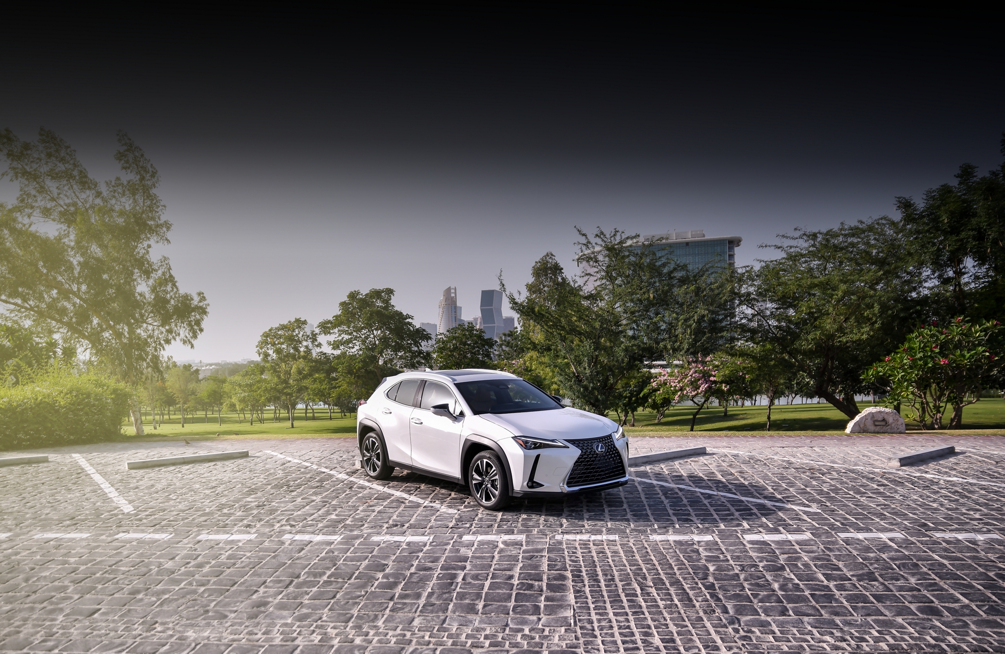 Book a Test Drive Banner