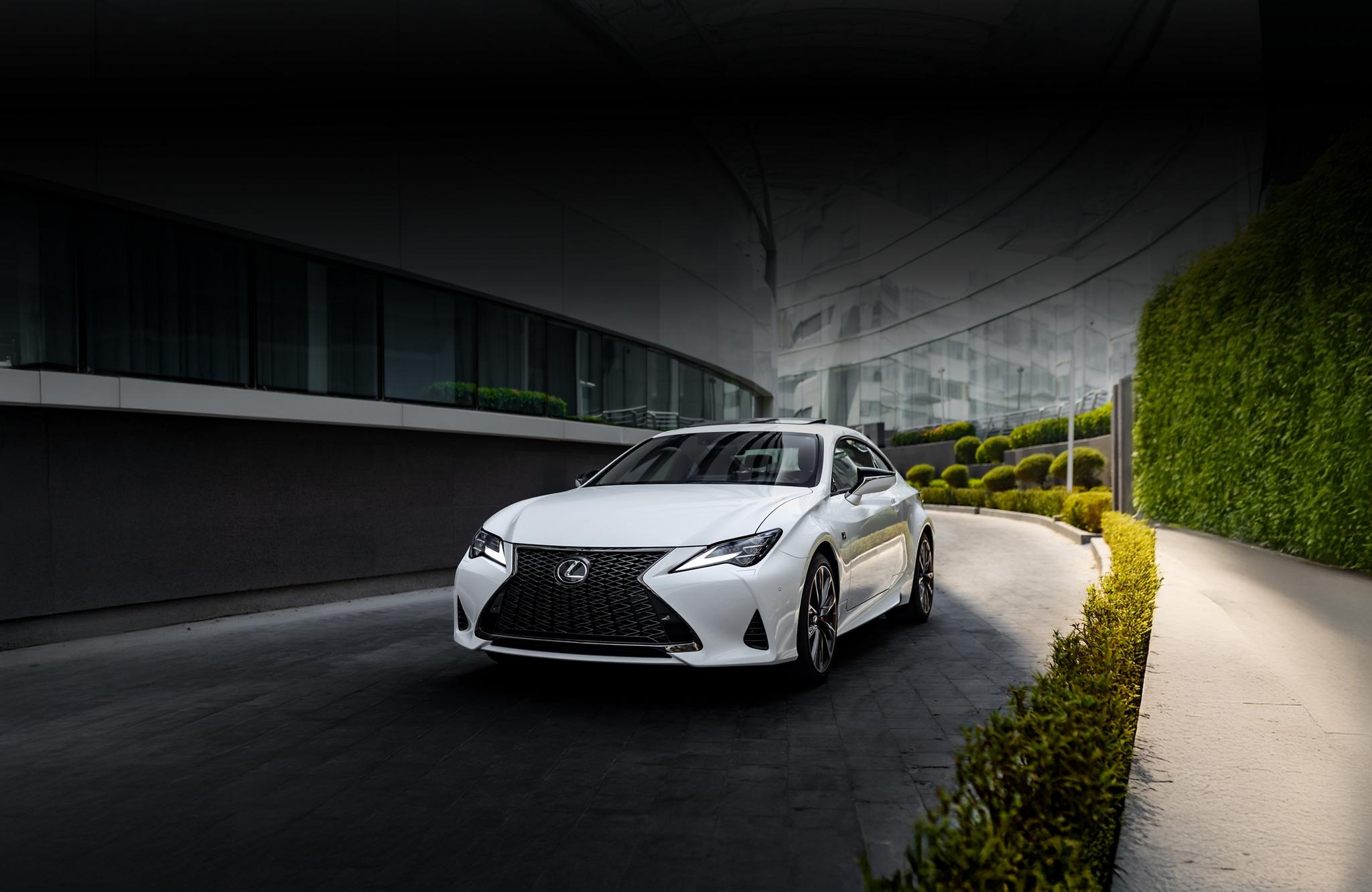 Book a Test Drive Banner