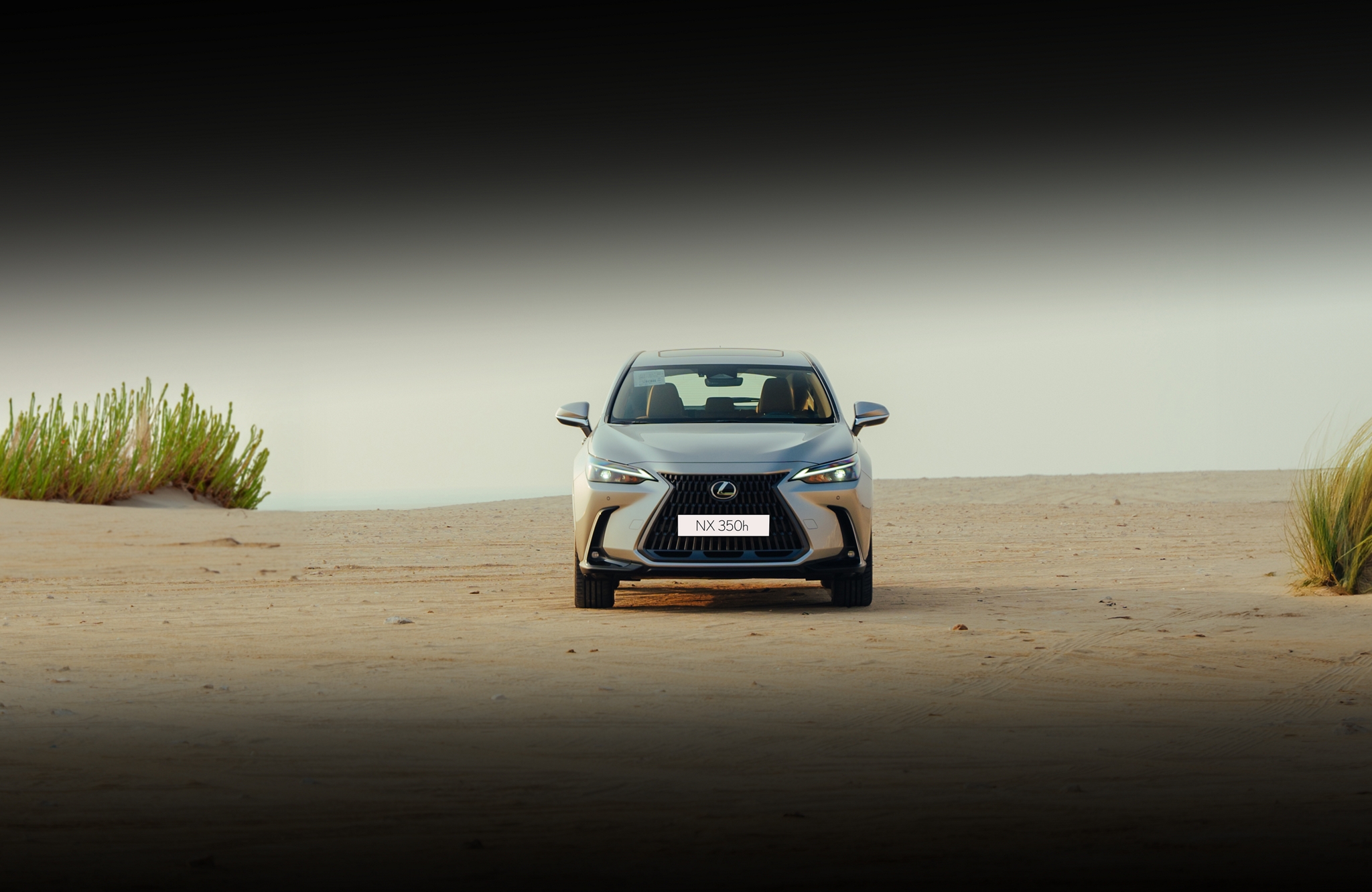 Book a Test Drive Banner