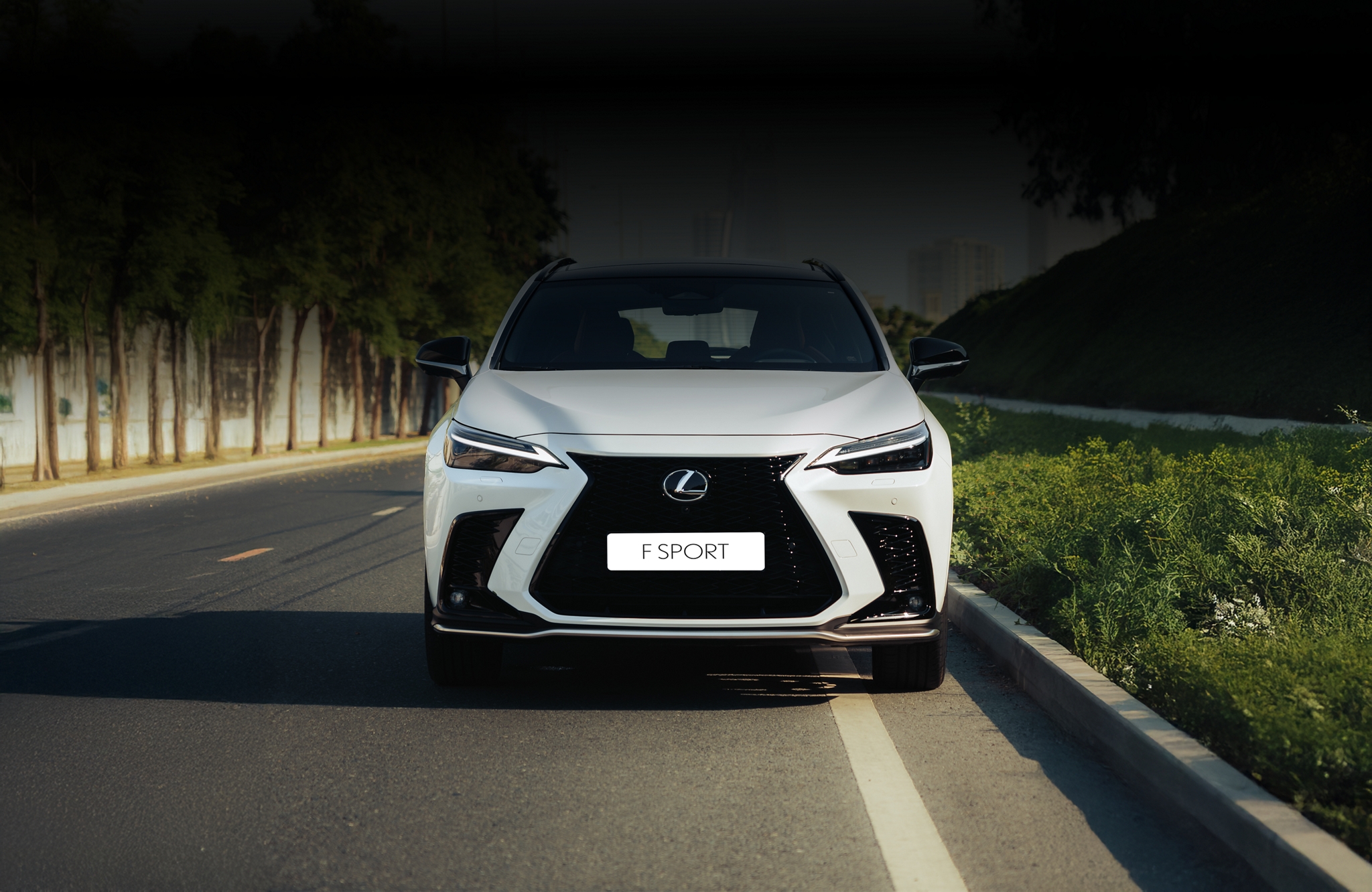 Book a Test Drive Banner